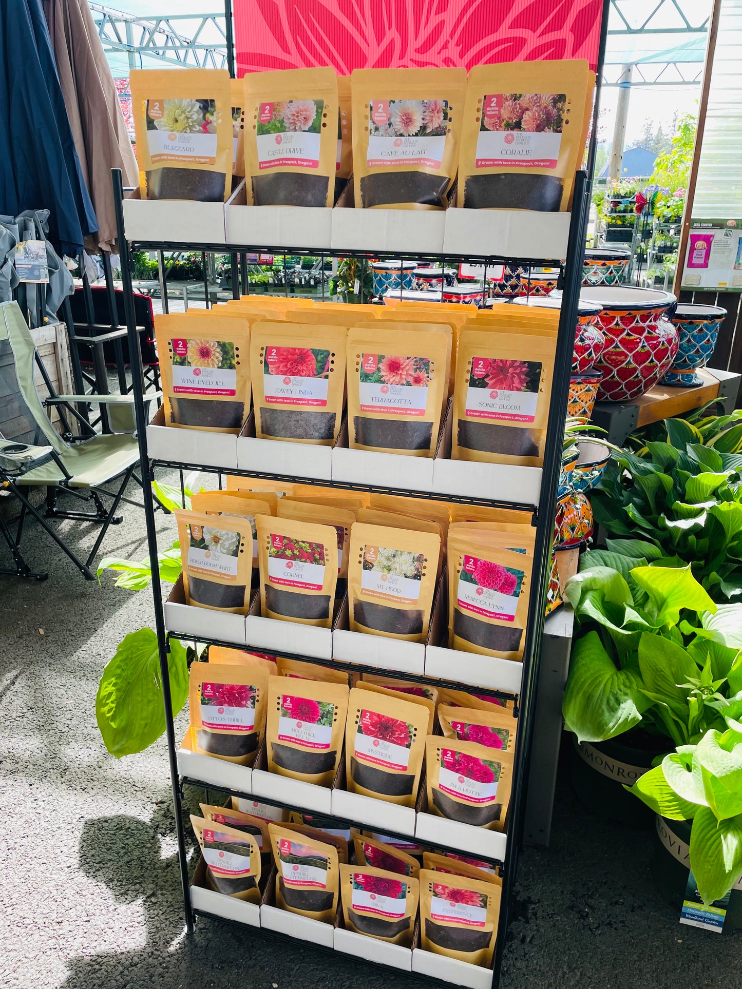 Retail Dahlia Tuber Display (120 Count)