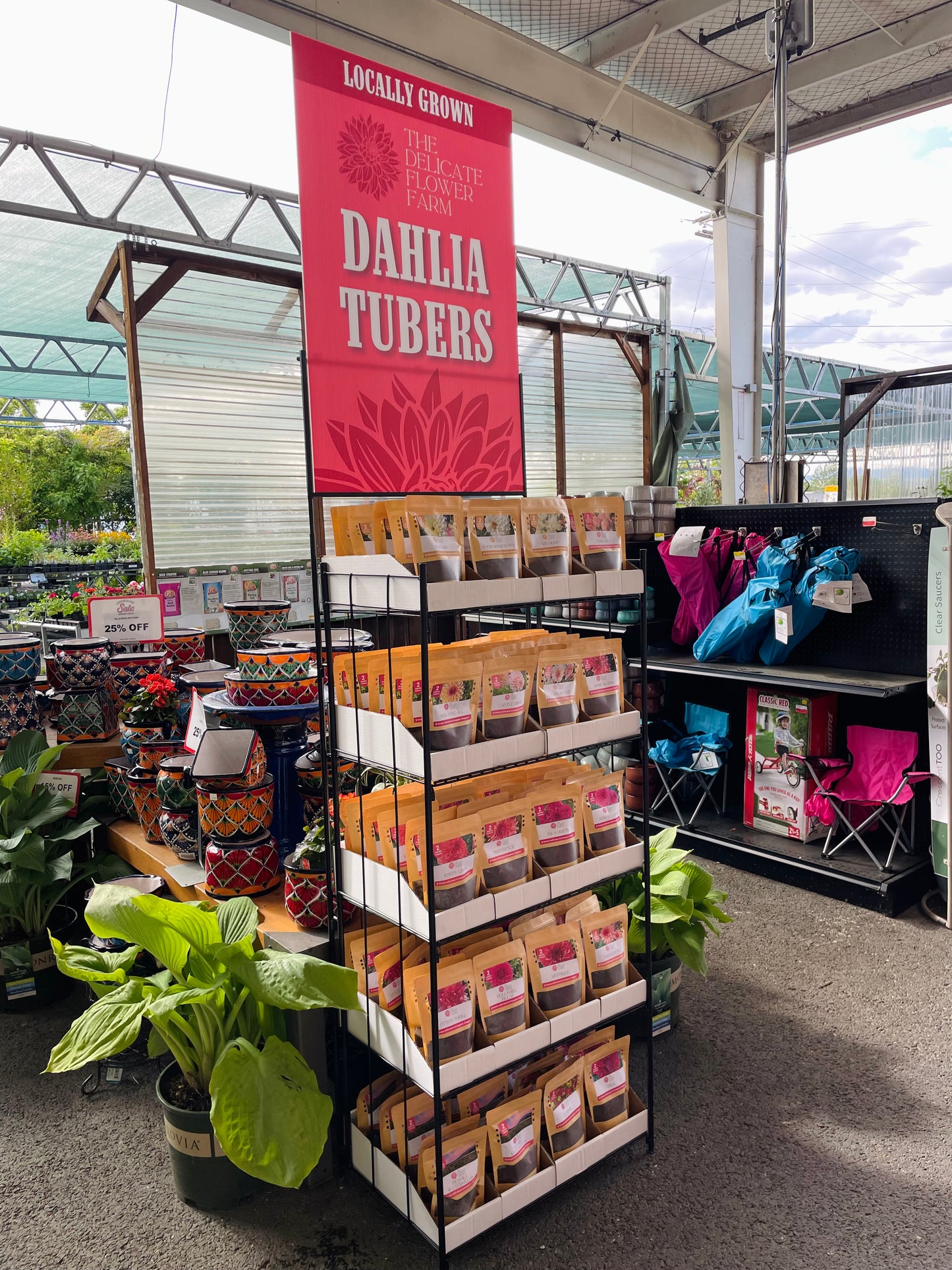 Retail Dahlia Tuber Display (120 Count)
