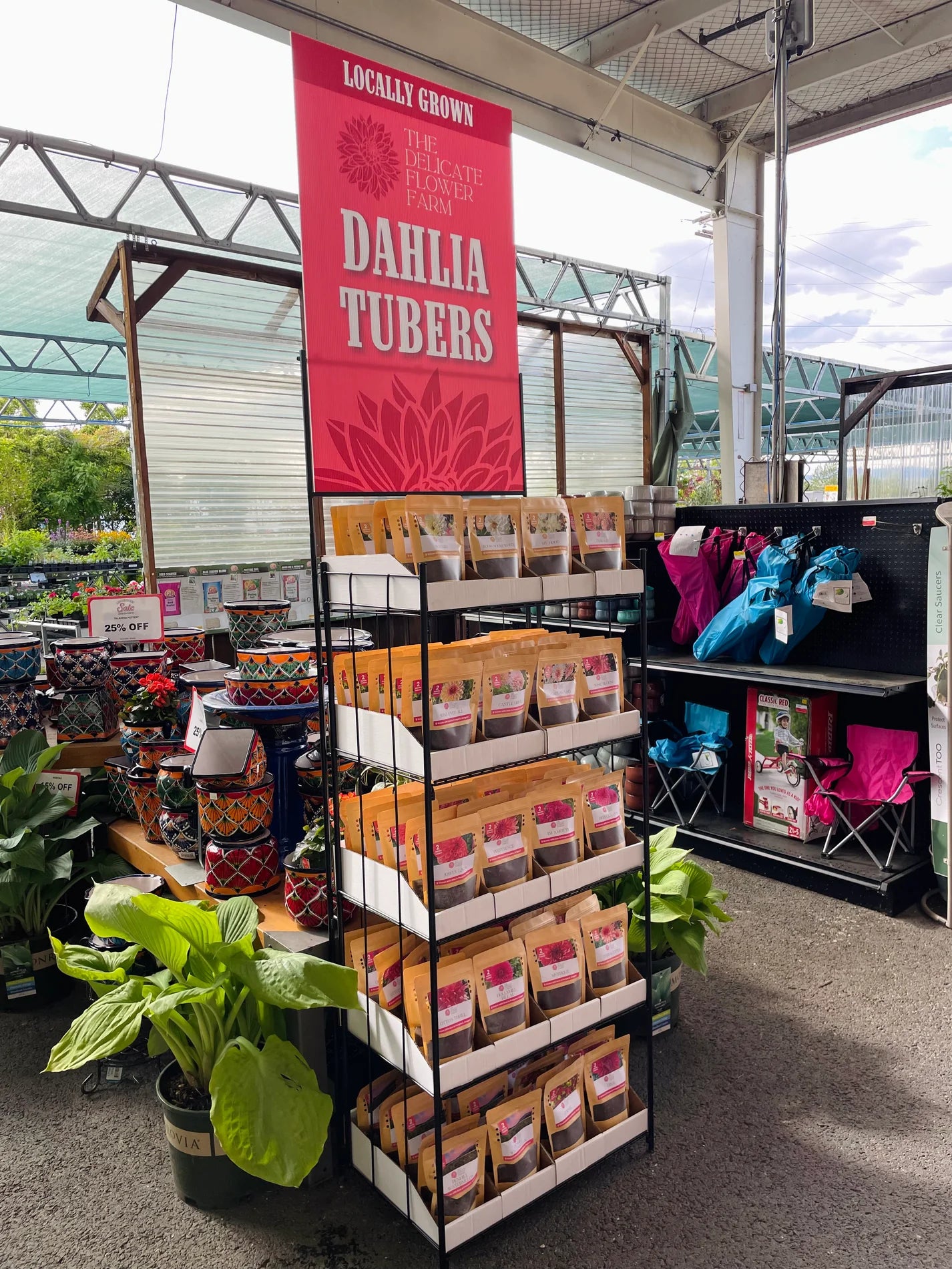 *Custom Varieties* Retail-Ready Dahlia Tuber Floor Display