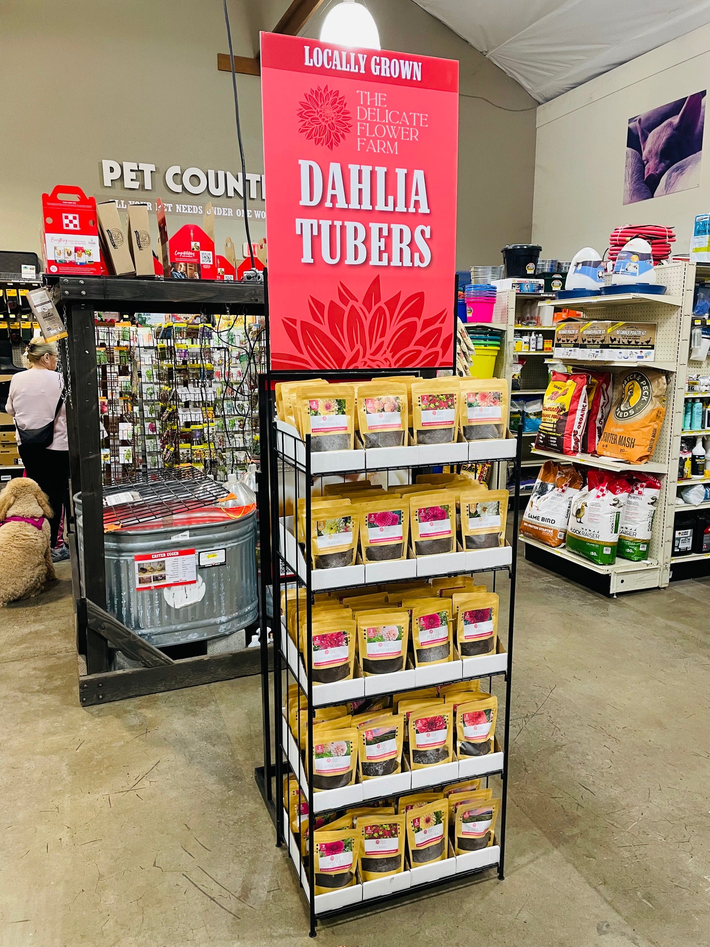 Retail Dahlia Tuber Display (120 Count)