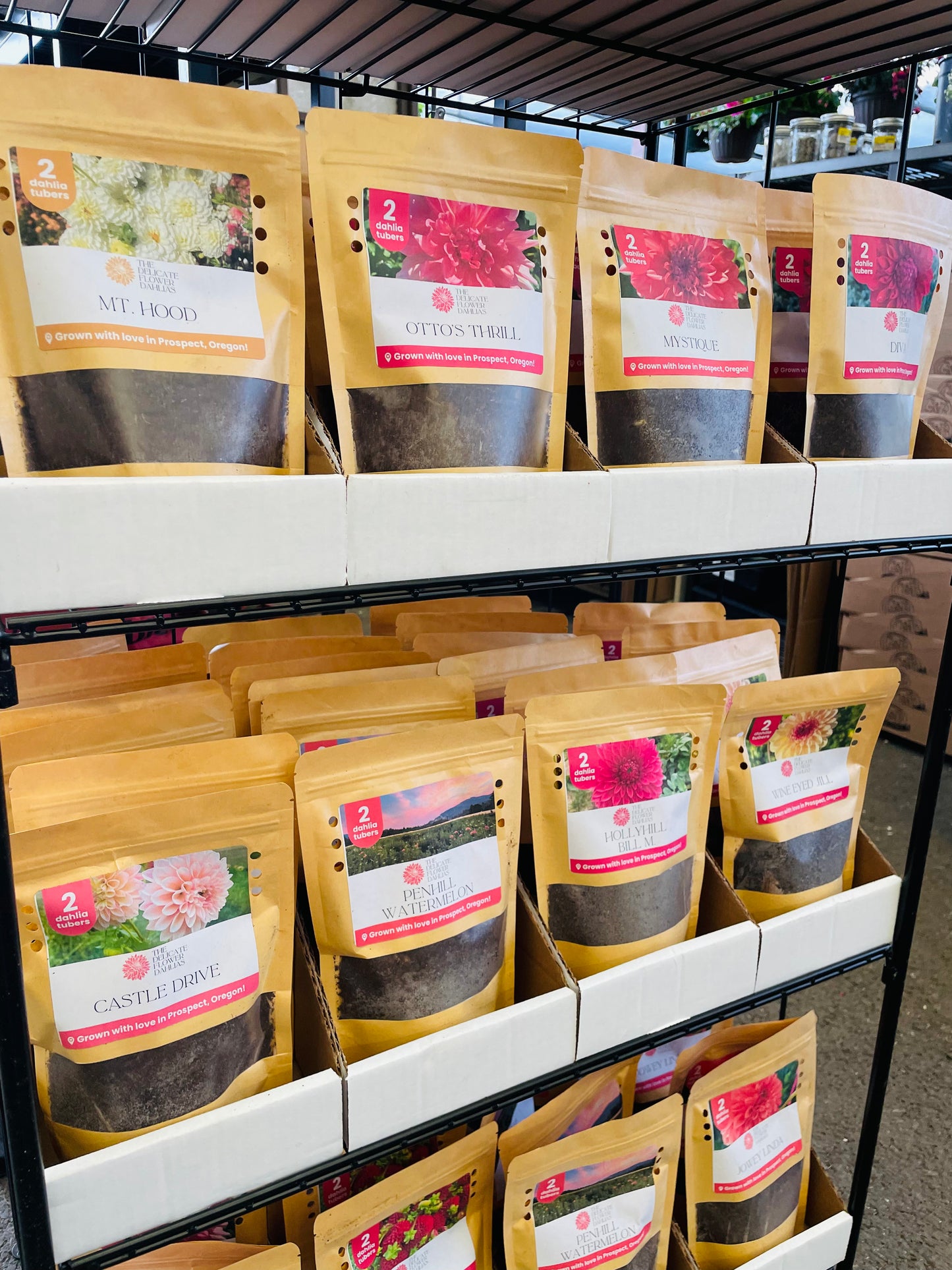 Retail Dahlia Tuber Display (120 Count)