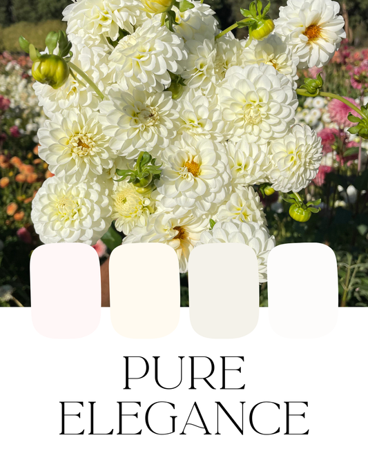 Farm-Fresh Dahlias - Pure Elegance Mix