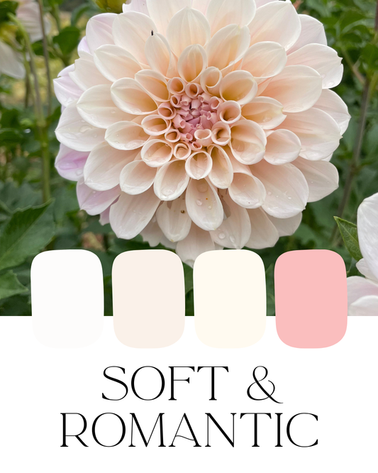 Farm-Fresh Dahlias - Soft & Romantic Mix
