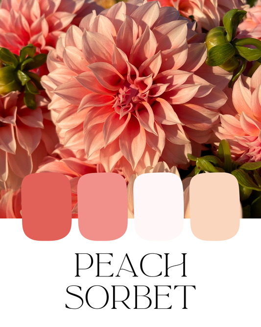 Farm-Fresh Dahlias - Peach Sorbet Mix