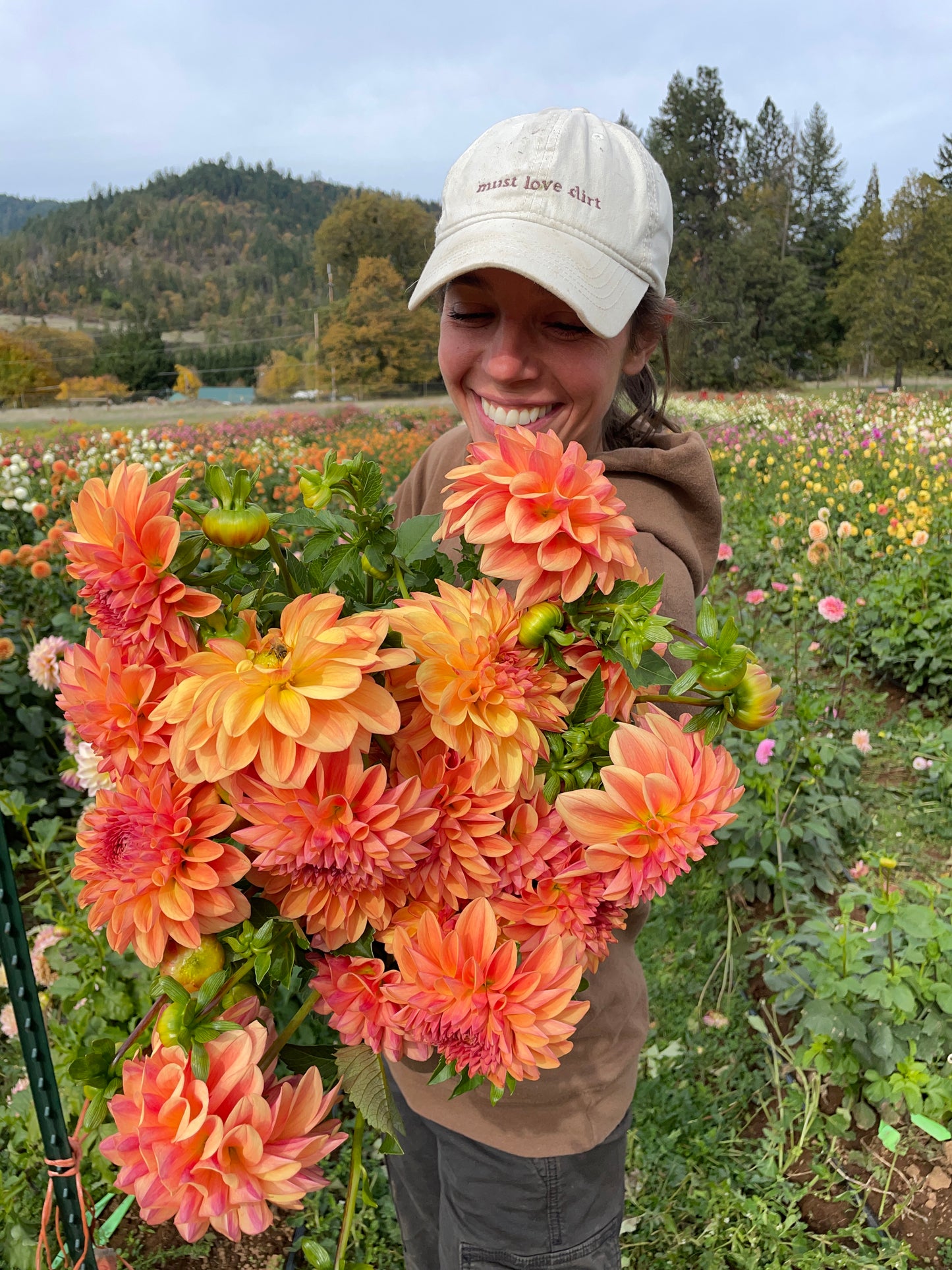 Ferncliff Copper Dahlia Tuber