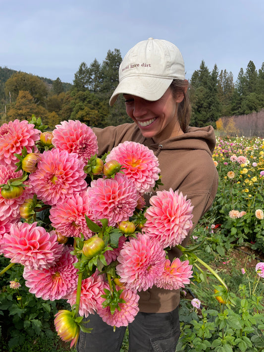 Pink Runner Dahlia Tuber
