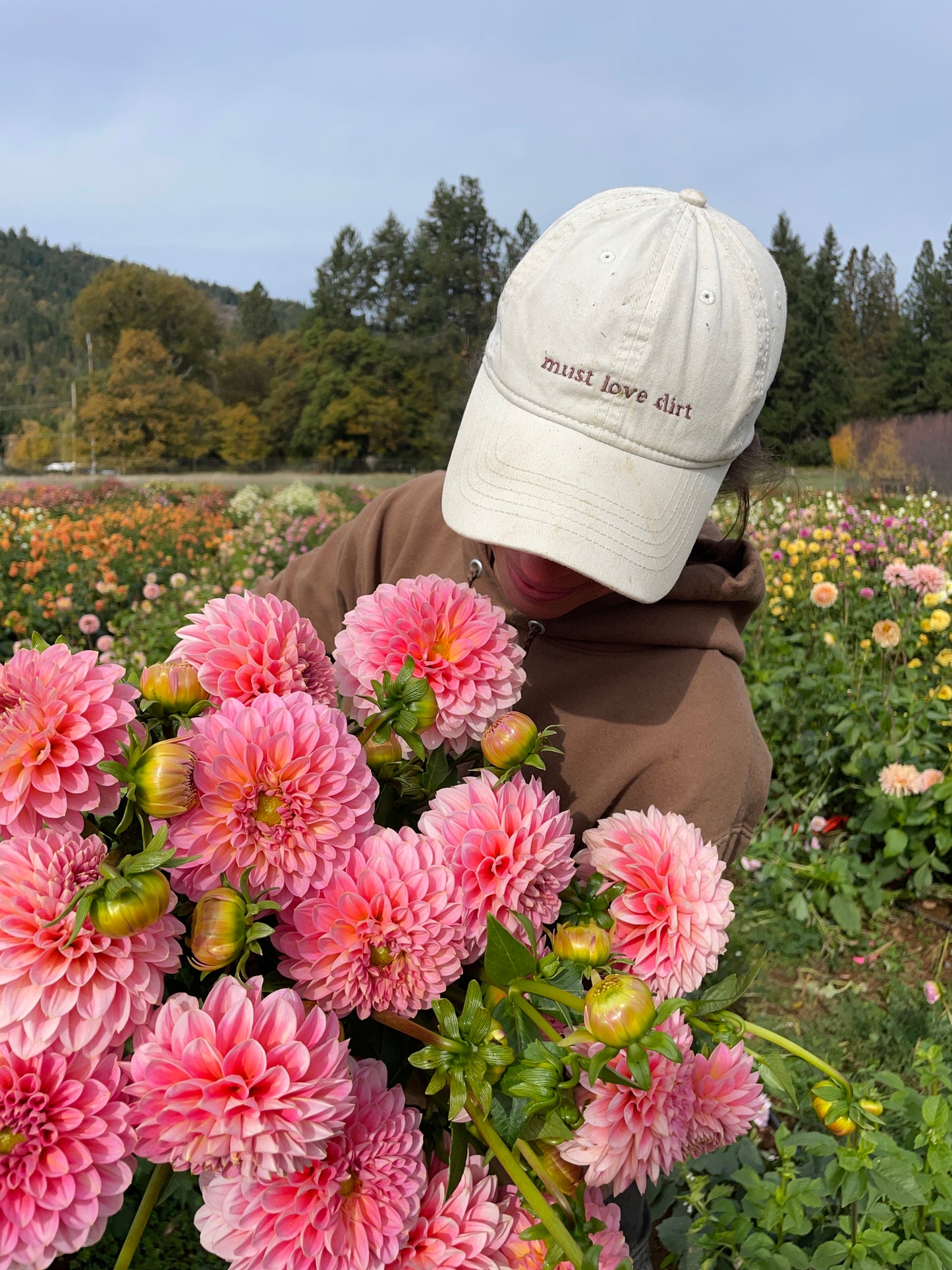 Pink Runner Dahlia Tuber