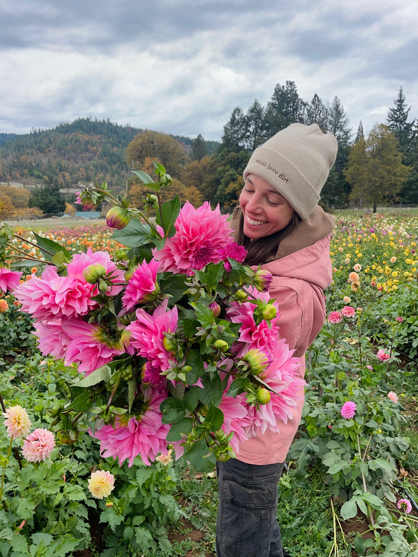 Cafe au Lait Rose Dahlia Tuber