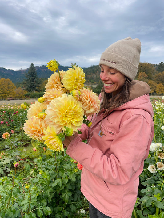 Wyn's New Pastel Dahlia Tuber