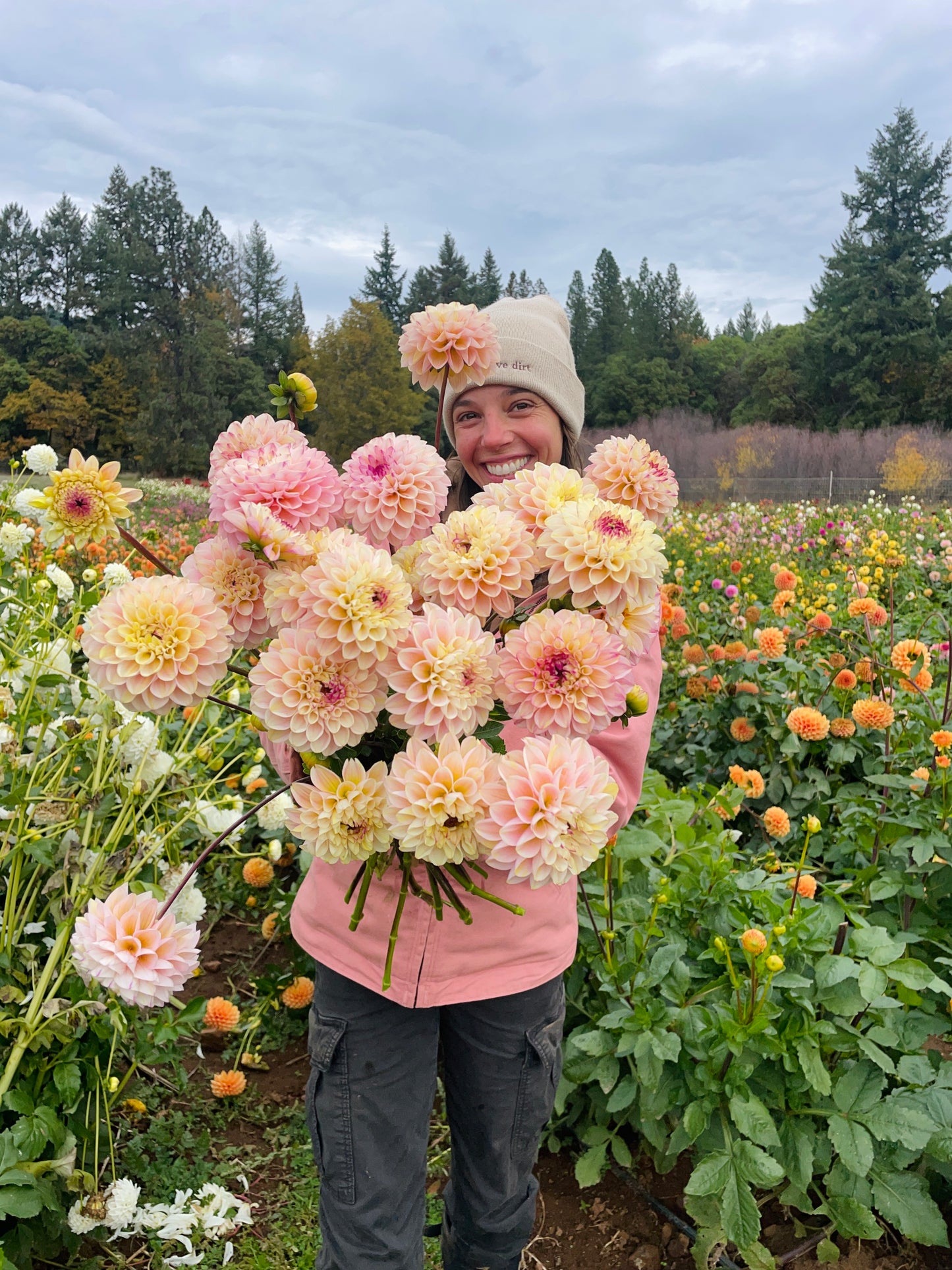 Wine Eyed Jill Dahlia Tuber