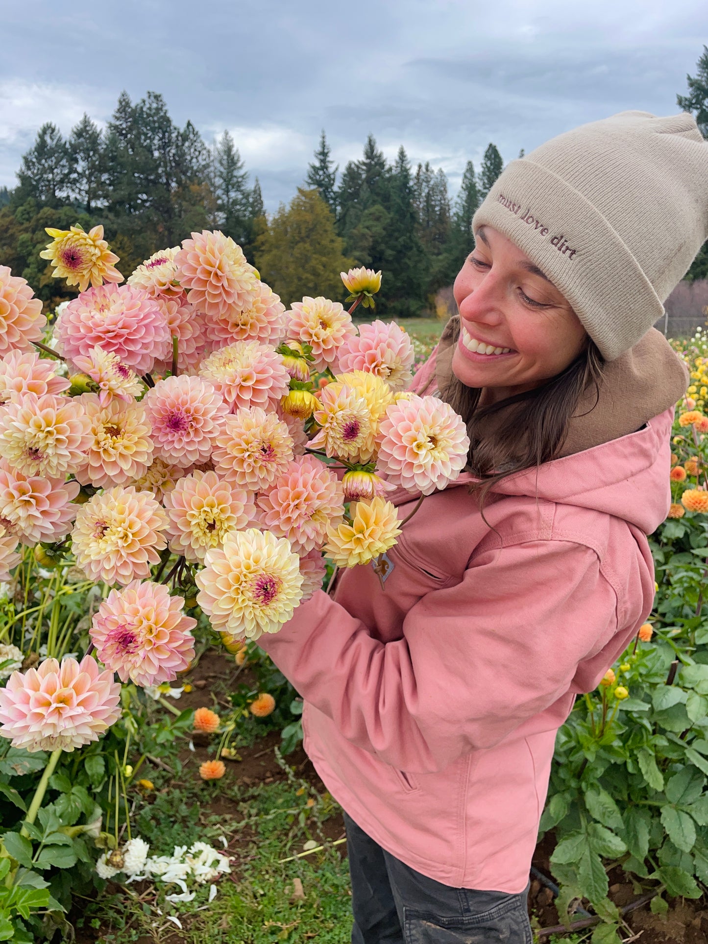 Wine Eyed Jill Dahlia Tuber